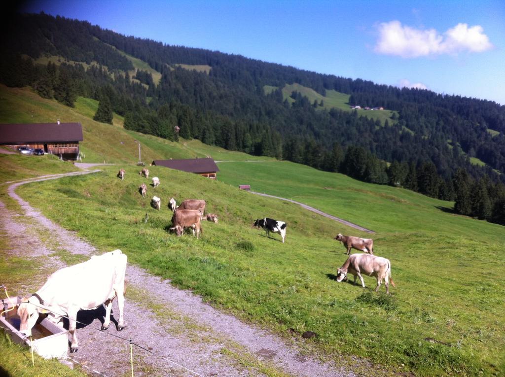 Unser Vorsaess - Klausberg Schwarzenberg Zewnętrze zdjęcie